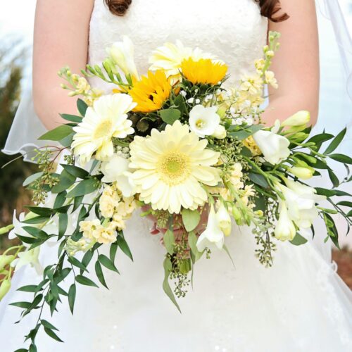 dillon-groves-s1KXhxN4qCQ-unsplash dillon-groves-s1KXhxN4qCQ-unsplash